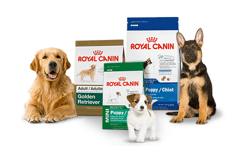 Top 10 Royal Canin Products for Dogs and Cats in 2024