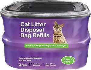 Top 5 Perfect Litter Box Setup for Your Feline Companion