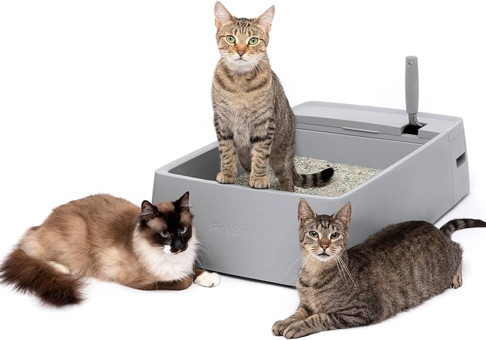 Top 5 Perfect Litter Box Setup for Your Feline Companion