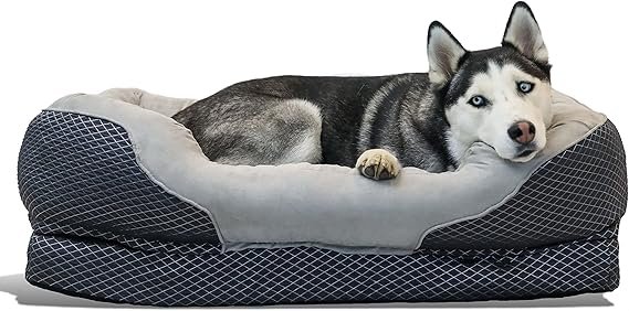 The Ultimate Guide to Choosing the Best Large Dog Beds for Your Furry Friend