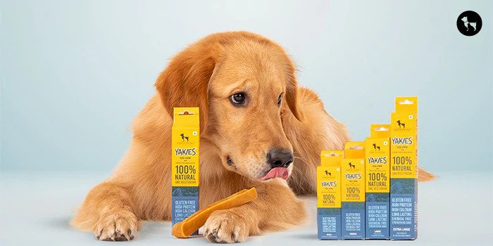 Top 10 Best Dog Treats Your Furry Friend Will Love