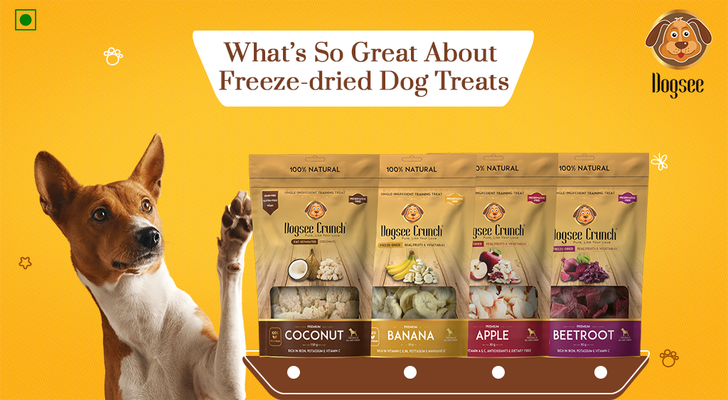 The Benefits of Freeze-Dried Pet Foods for Cats and Dogs: A Comprehensive Guide