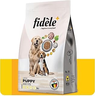 Best Grain-Free Dog Food in India in 2024: A Comprehensive Guide