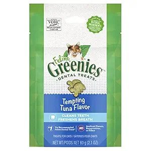 Top 5 Best Cat Treats for Training and Bonding: Healthy & Nutritious Options for Your Feline Friend