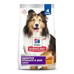 Top 10 Best Pet Foods for Dogs in 2024: A Comprehensive Guide