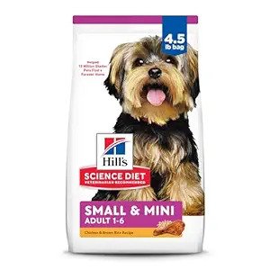 Best Grain-Free Dog Food in India in 2024: A Comprehensive Guide