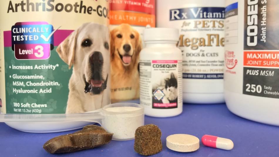 Top 10 Vet-Approved Dog Supplements for Joint Health: A Complete Guide for Pet Owners in the USA