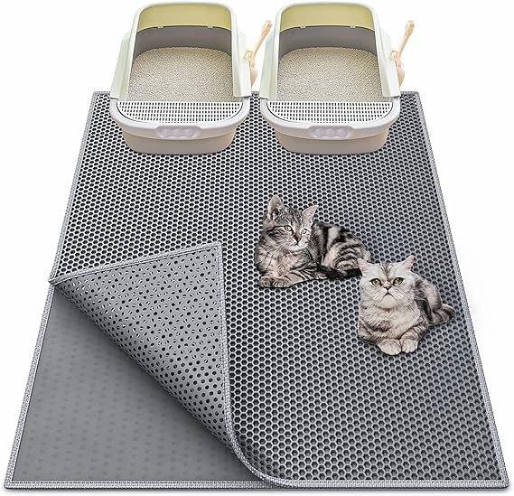 Top 5 Perfect Litter Box Setup for Your Feline Companion