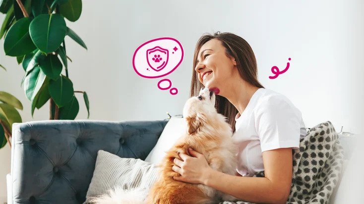 Top 5 Pet Insurance Plans for US Pet Owners: Find the Perfect Coverage