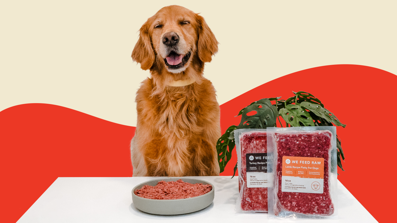 Best Raw Dog Food Brands: Is a Raw Diet Right for Your Pet?