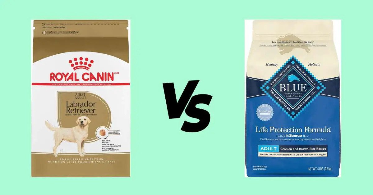 Unveiling the Ultimate Pet Food Battle: Royal Canin vs Blue Buffalo